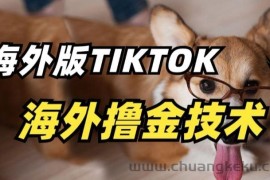 抖音海外版tiktok撸金技术，这个风口行业，赚钱真的不难【揭秘】