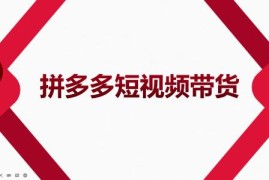 2022风口红利期-拼多多短视频带货，适合新手小白的入门短视频教程