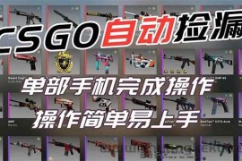 （16812期）用全球火爆游戏CSGO挂机捡漏赚钱过个肥年，一部手机轻松日入500+【副业网赚】