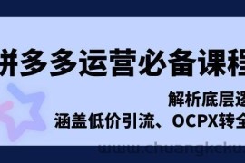 （13700期）拼多多运营必备课程，解析底层逻辑，涵盖低价引流、OCPX转全站