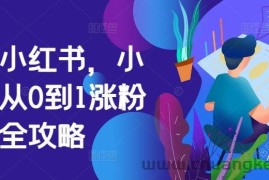 掘金小红书，小红书从0到1涨粉变现全攻略