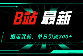 （12085期）B站最新，搬运混剪，单日引流300+创业粉