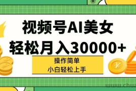 （11812期）视频号AI美女，轻松月入30000+,操作简单小白也能轻松上手