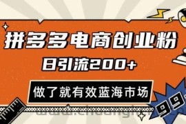 拼多多引流电商创业粉，日引200+，可矩阵放大，做了就有效【揭秘】