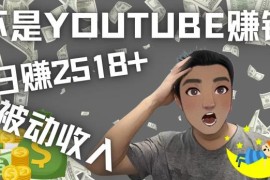 看视频也能被动收入，千次观看赚22美元-日赚2518+（不是YOUTUBE赚钱）