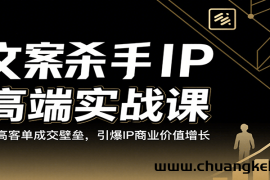 文案杀手IP高端实战课：破高客单成交壁垒，引爆IP商业价值增长