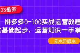 （4835期）2023拼多多0-100实战运营教程，0基础起步，运营知识一手掌握（无水印）