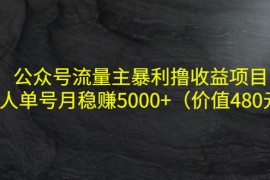 （4011期）公众号流量主暴利撸收益项目，单人单号月稳赚5000+（价值480元）