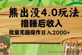 （13666期）熊出没4.0新玩法，软件加持，新手小白无脑矩阵操作，日入2000+