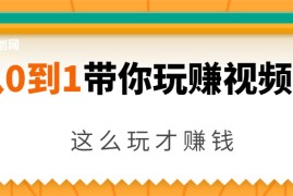 （1656期）从0到1带你玩赚视频号：这么玩才赚钱，日引流500+日收入1000+核心玩法