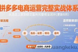（15579期）拼多多电商运营完整实战体系，从选品上架到稳定盈利完整商业闭环(更新8月)