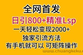 全网首发！日引800+精准老色批，一天变现2000+，独家引流方法，可矩阵操作【揭秘】