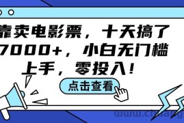 （12161期）靠卖电影票，十天搞了7000+，小白无门槛上手，零投入！