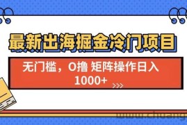 （13672期）最新出海掘金冷门项目，单号日入1000+