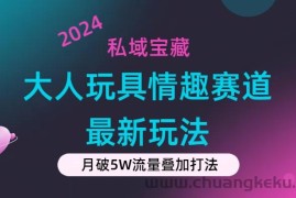 （11541期）私域宝藏：大人玩具情趣赛道合规新玩法，零投入，私域超高流量成单率高