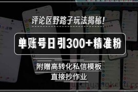 （15466期）评论区野路子玩法揭秘！单账号日引300+精准粉，附赠高转化私信模板，直…