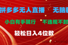 （11489期）拼多多无人直播 无脑躺赚小白有手就行 不违规不封号轻松日入4位数