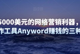 月赚5000美元的网络营销利器，利用Ai写作工具Anyword赚钱的三种途径