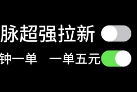 （11580期）微脉超强拉新， 两分钟1单， 一单利润5块，适合小白