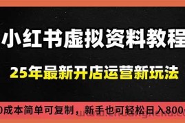 （16795期）小红书虚拟资料项目：最新搜索流变现玩法，0成本简单可复制，一人多店打法，新手日入800+
