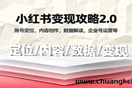 小红书变现攻略2.0：账号定位、内容创作，数据解读，企业号运营等