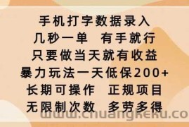 手机打字数据录入，几秒一单，有手就行，只要做当天就有收益，暴力玩法一天低保2张