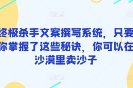 终极杀手文案撰写系统，只要你掌握了这些秘诀，你可以在沙漠里卖沙子