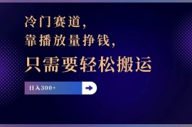 （11965期）冷门赛道，靠播放量挣钱，只需要轻松搬运，日赚300+