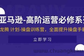 亚马逊高阶运营必修系列，龙腾计划-操盘训练营，全面提升操盘手能力