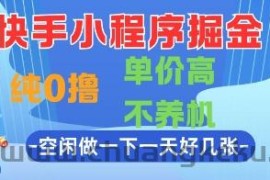 快手小程序掘金，纯0撸，单价高不养机 利用空闲时间做一做，一天好几张【揭秘】