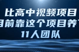 （2136期）中视频项目，目前靠这个项目养了11人团队【视频课程】