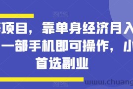 蓝海项目，靠单身经济月入过万，一部手机即可操作，小白首选副业【揭秘】