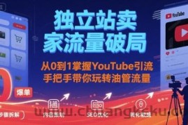 独立站卖家流量破局：从0到1掌握YouTube引流，手把手带你玩转油管流量