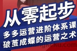 拼多多运营进阶系统课，从零起步，多多运营进阶体系课，破茧成蝶的运营之术（更新9月）