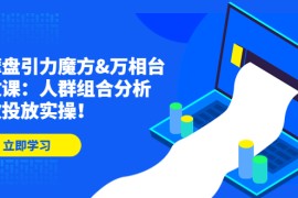 （4709期）达摩盘引力魔方&amp;万相台投放课：人群组合分析，高效投放实操！