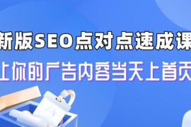 （6708期）新版SEO点对点引流速成课 让你的广告内容当天上首页