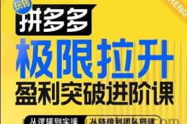 拼多多极限拉升盈利突破进阶课，​从算法到玩法，从玩法到团队搭建，体系化系统性帮助商家实现利润提升