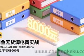 （16497期）闲鱼无货源电商实战，选品技巧+店铺运营+独家出单方法，单店月利润8000元