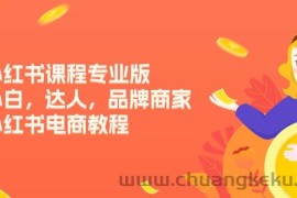 （11022期）小红书课程专业版，小白，达人，品牌商家，小红书电商教程（15节）