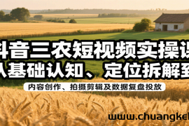 抖音三农短视频实操课：从基础认知、定位拆解到内容创作、拍摄剪辑及数据复盘投放