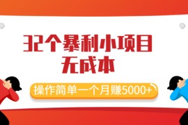 （2044期）最新32个暴利小项目，无成本、操作简单一个月赚5000+