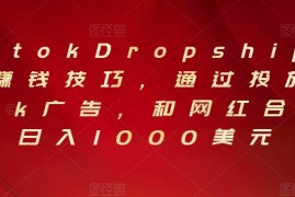 Tiktok Dropshipping赚钱技巧，通过投放Tiktok广告，和网红合作，日入1000美元