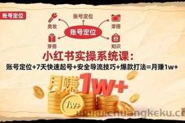 （16554期）小红书实操系统课：账号定位+7天快速起号+安全导流技巧+爆款打法=月赚1w+