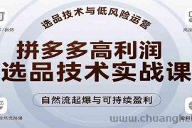 拼多多高利润选品技术实战课，手把手教学自然流高投产起爆，实现低风险可持续盈利