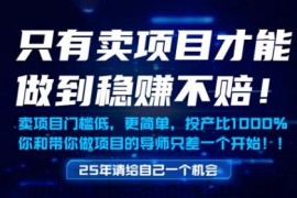 只有卖项目才能做到稳挣不赔，门槛低，更简单，你也可以年入百个W【揭秘】