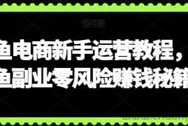 闲鱼电商新手运营教程，闲鱼副业零风险赚钱秘籍