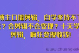 博主口播剪辑，自学坚持不下去？会剪辑不会变现？十天学会剪辑，疯狂变现收钱!