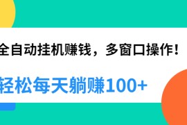 （1891期）全自动挂机赚钱，多窗口操作，轻松每天躺赚100+【视频课程】【附软件】