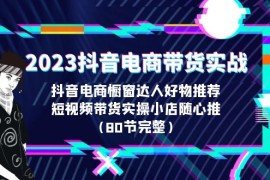 （6536期）2023抖音电商带货实战，橱窗达人好物推荐，实操小店随心推（80节完整）