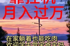 （10838期）靠挂机，日入1000+，躺着也能吃肉，适合宝爸宝妈学生党工作室，电脑手…